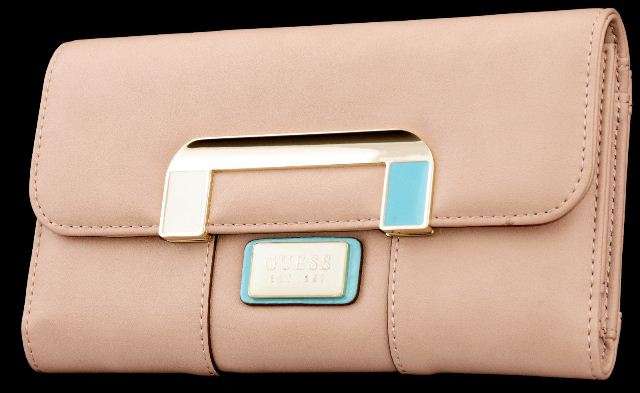 Guess Wallet Aleena